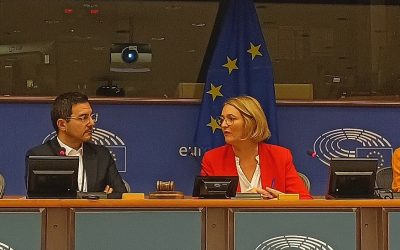 Rencontre avec Marie-Pierre Vedrenne, Vice-présidente du comité INTA